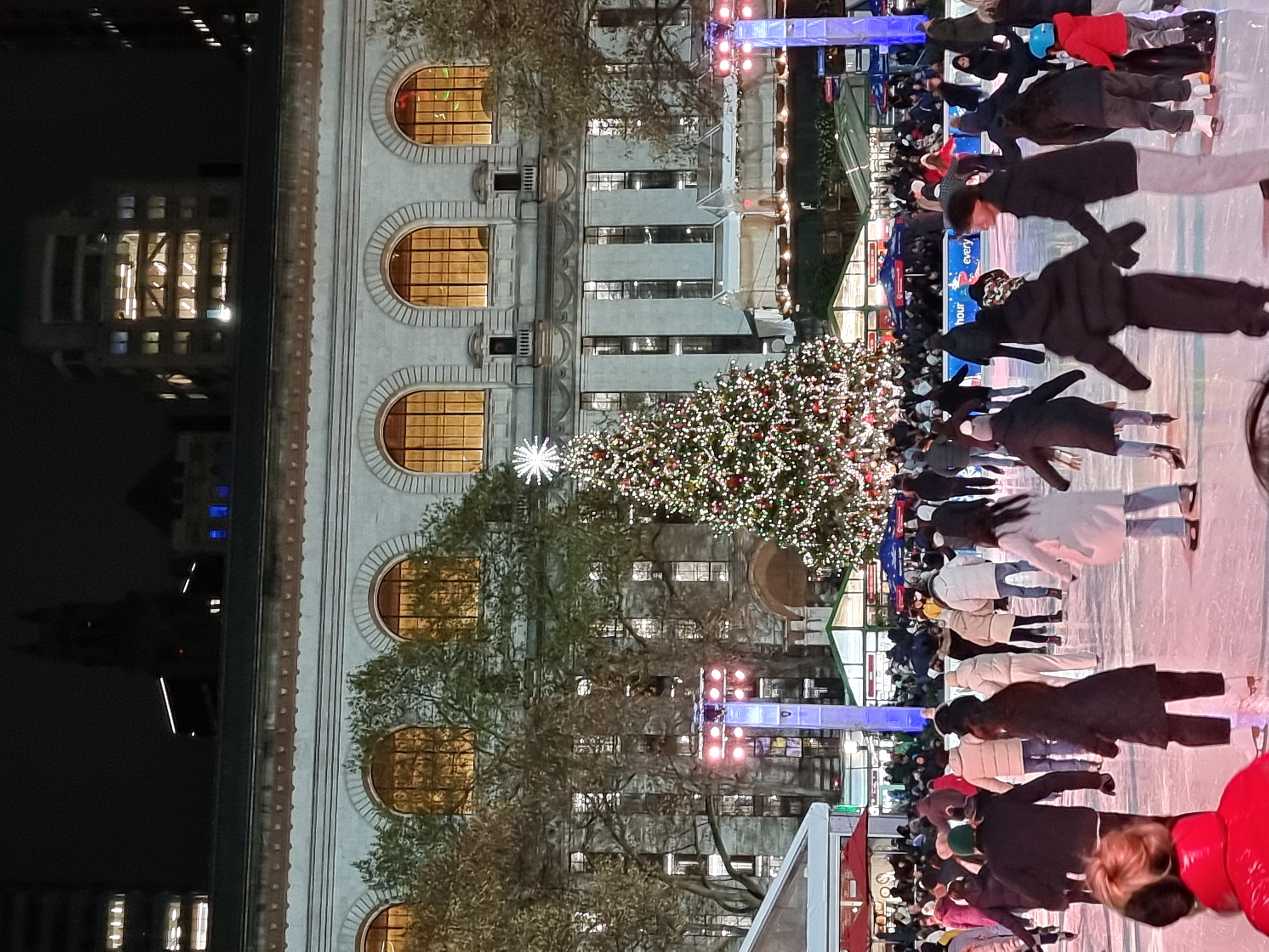 7 Bryant Park tree.jpg