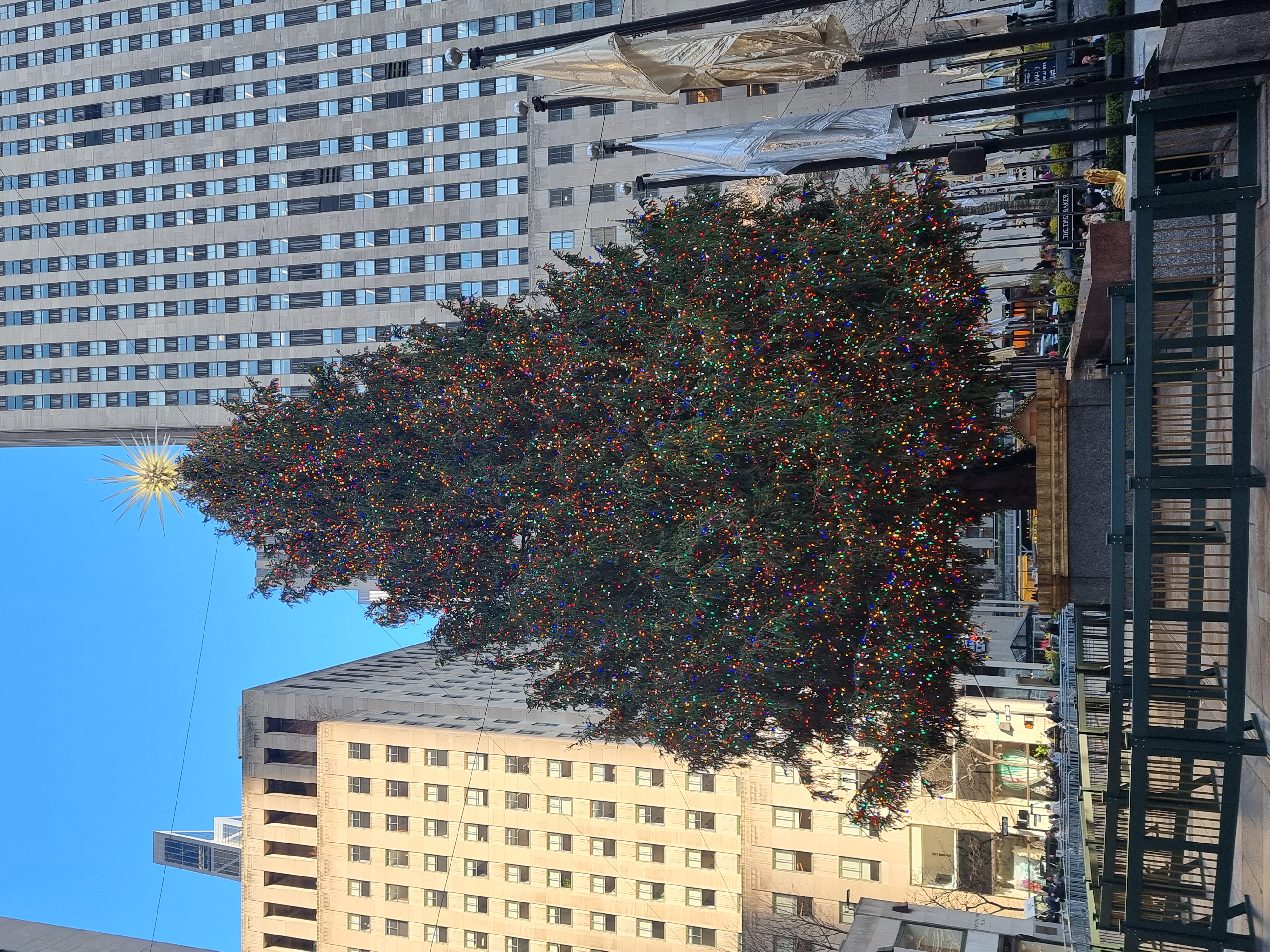 1 Rockefeller Tree 2.jpg